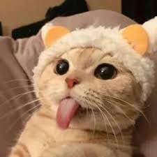 How do I register an account? avatar